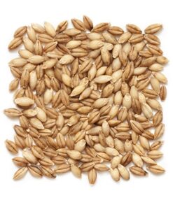 Hulled Barley