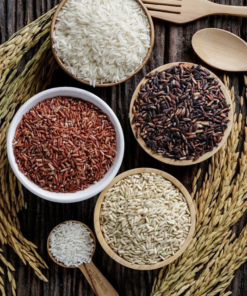 Rice