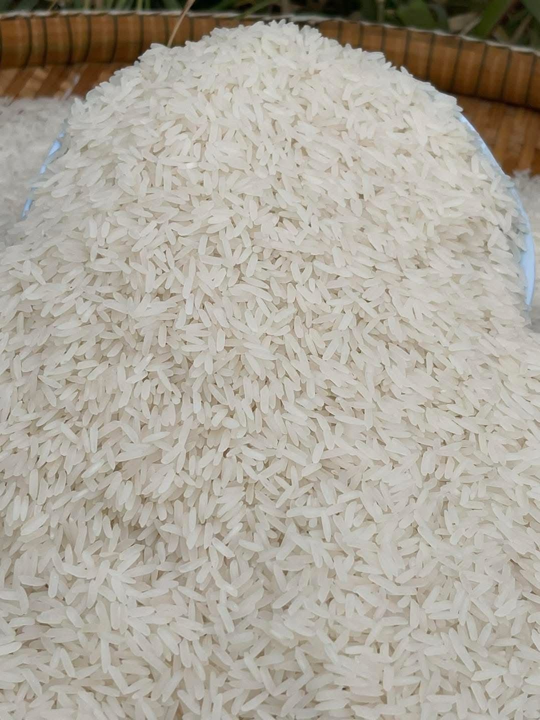 Basmati rice Supplier